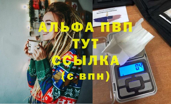 ПСИЛОЦИБИНОВЫЕ ГРИБЫ Заводоуковск
