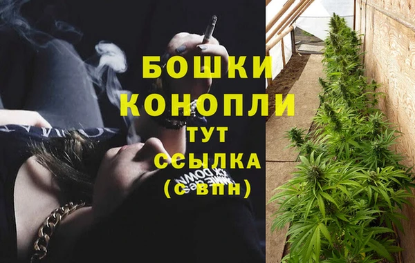 ПСИЛОЦИБИНОВЫЕ ГРИБЫ Заводоуковск