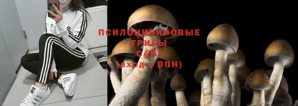амф Заволжск