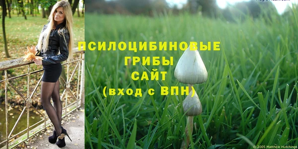 хмурый Сосновоборск