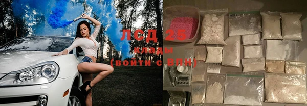 ПСИЛОЦИБИНОВЫЕ ГРИБЫ Заводоуковск