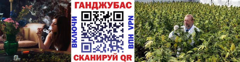 Бошки Шишки Amnesia  Купить где  Кинешма 